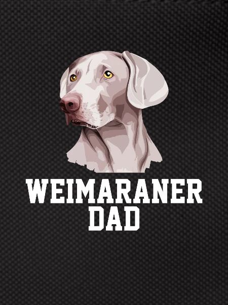 Weimaraner Weimaraner Dog