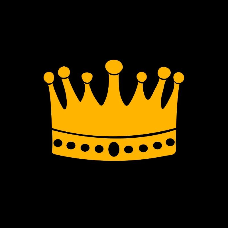 Je suis leur prince 4