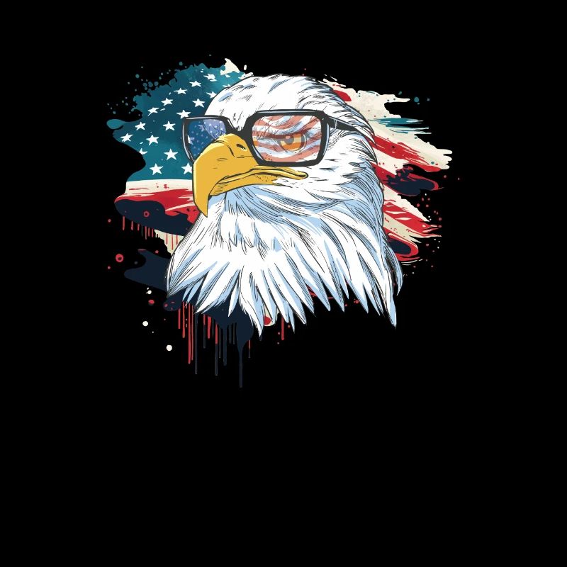 U.S. flag American Power July 4