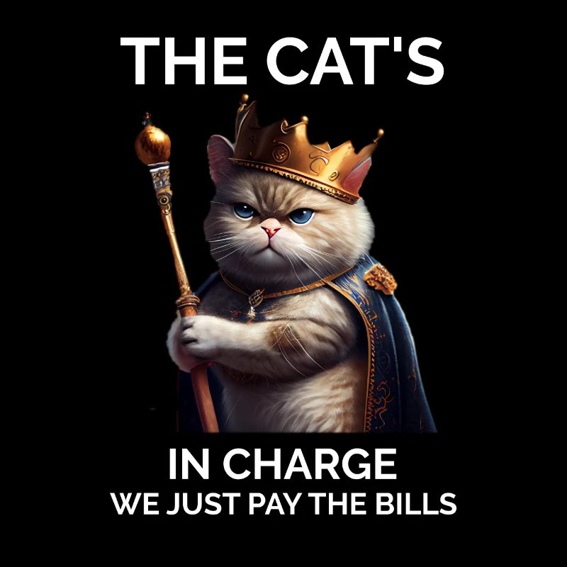 Les chats en charge du chat royal