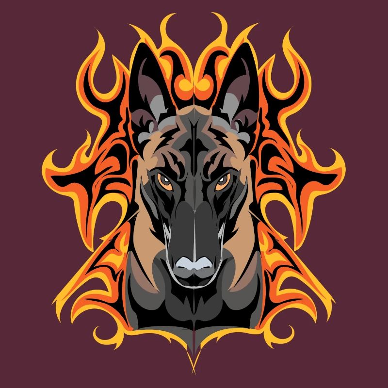 Malinois-Blitz