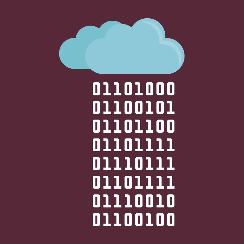 Cloud Computing Coder Programmer Computer Scientist