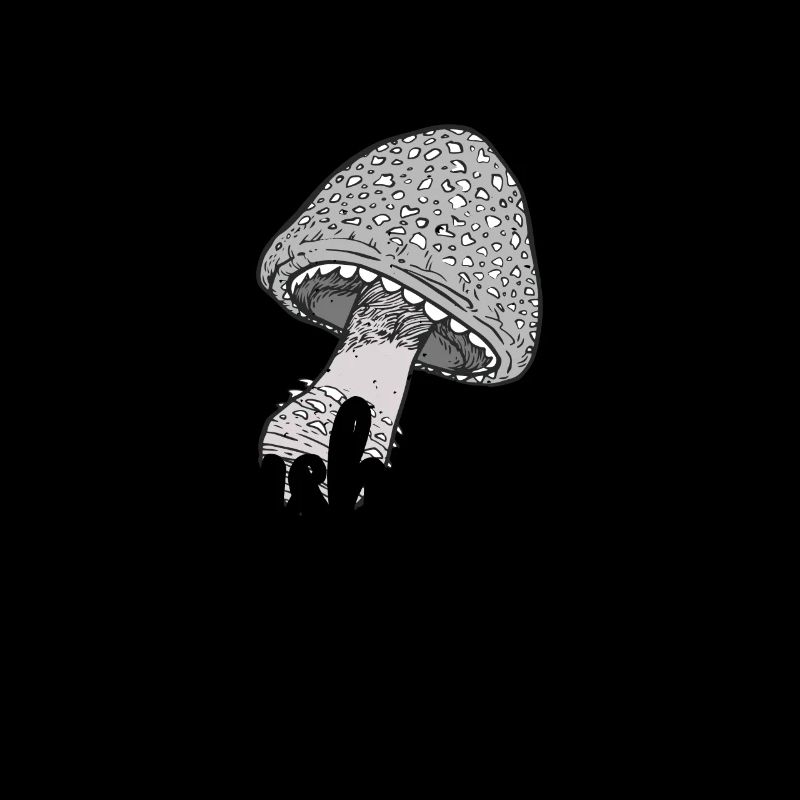 Cueilleur de champignons Chasseurs de champignons Amateurs de champignons Champignons Ferme de champignons