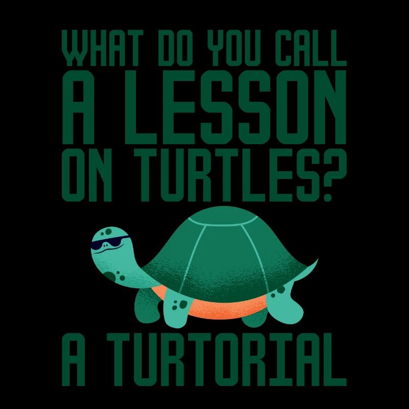 What Do You Call A Lesson On Turtles, A Turtorial2