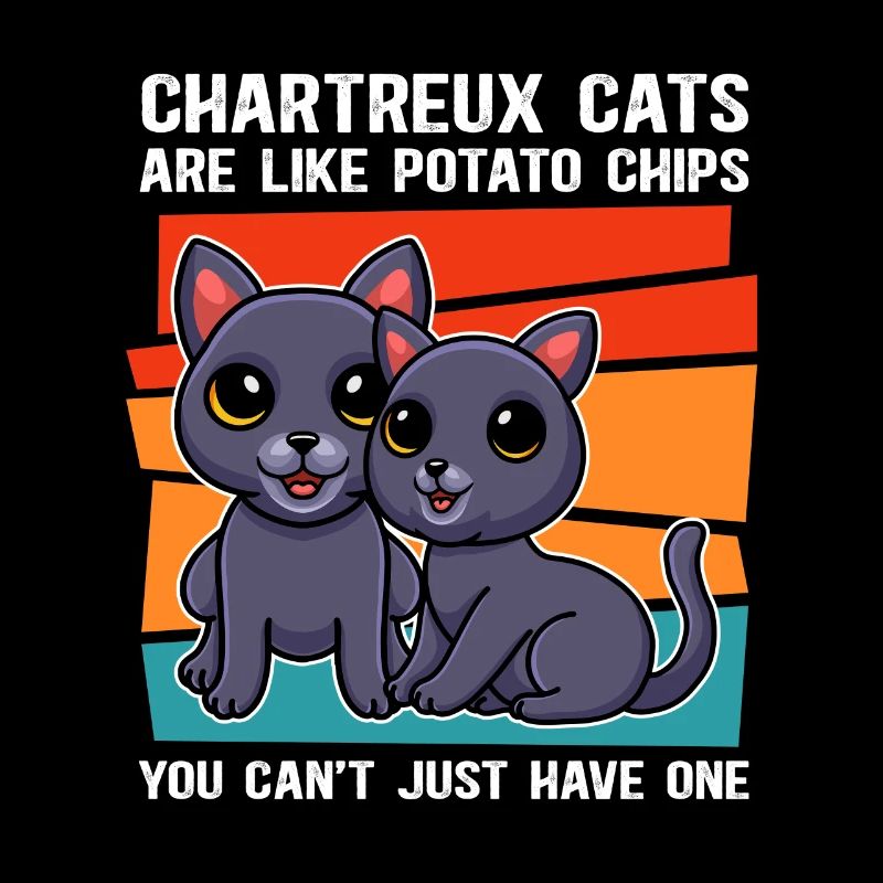 Chartreux Chartreux Chartreux Chat Propriétaire Cadeau