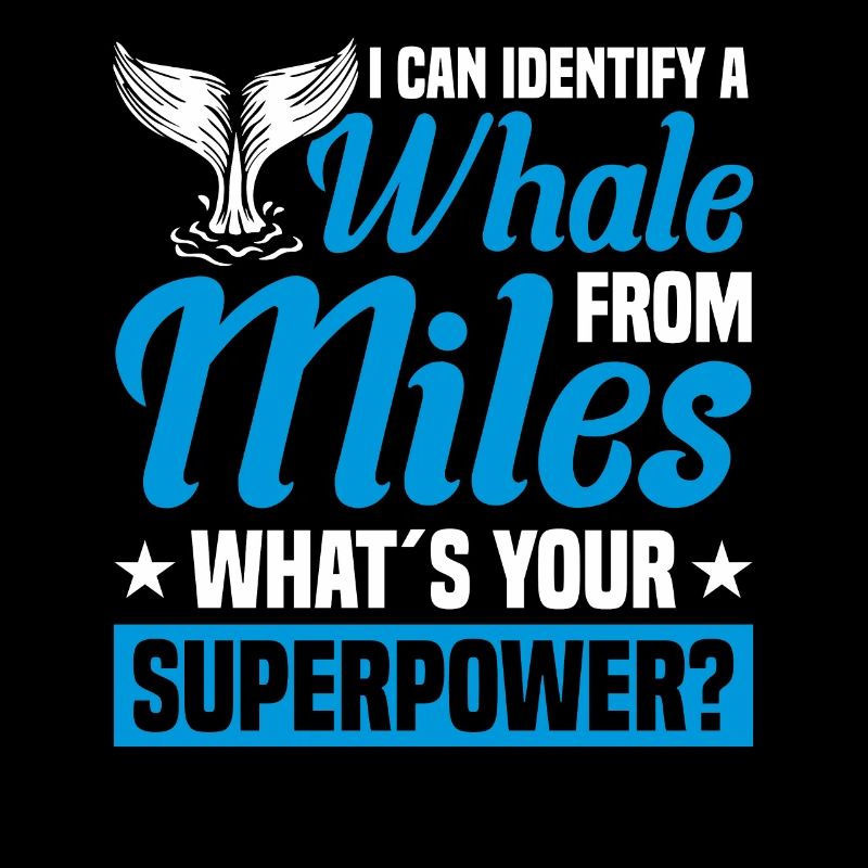Observation des baleines Observation des baleines Orques Bleu Baleine