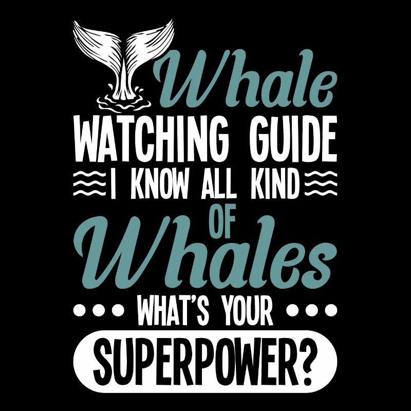Whale Watching Whale Watching Orca Blue Whale