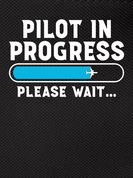 Pilot in Progress please Wait