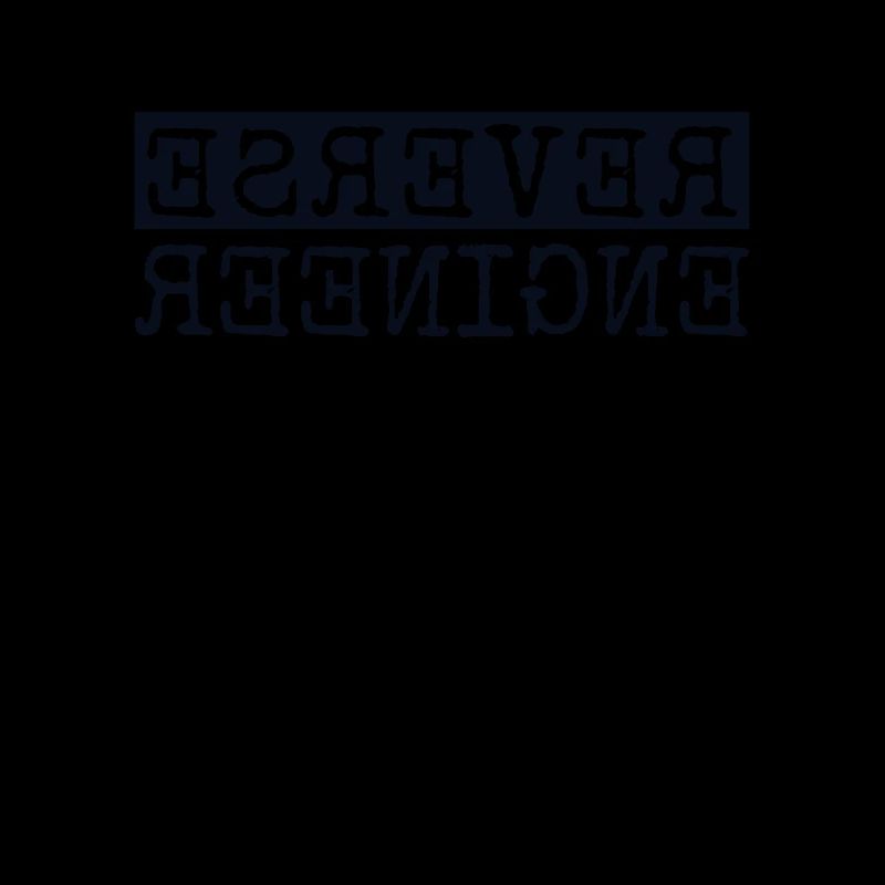 Reverse Engineer Softwareingenieur Developer