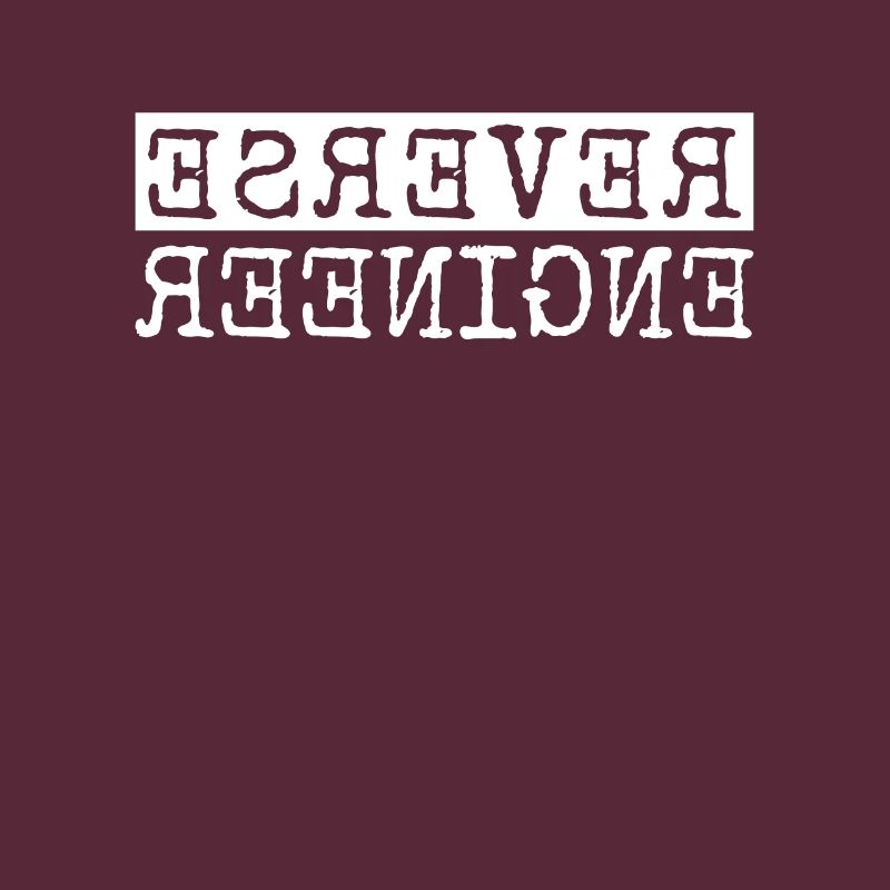 Reverse Engineer Software Engineer Developer