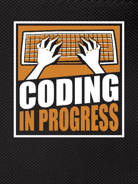 Coding In Progress Softwareingenieur Developer