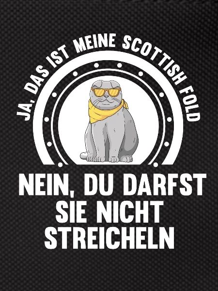 Scottish Fold Katze