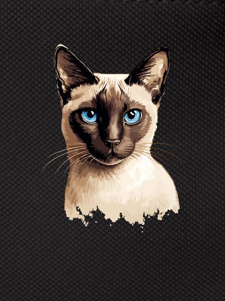 Siamese Cat
