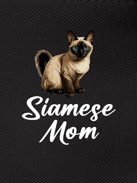 siamese cat