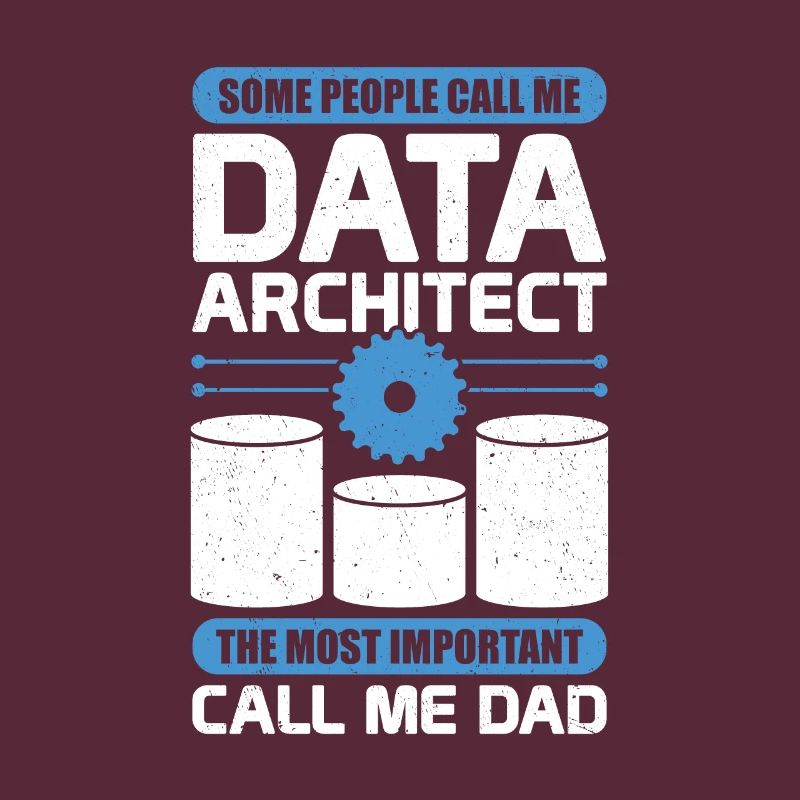 Data Architecture Database Architect Dad Gift