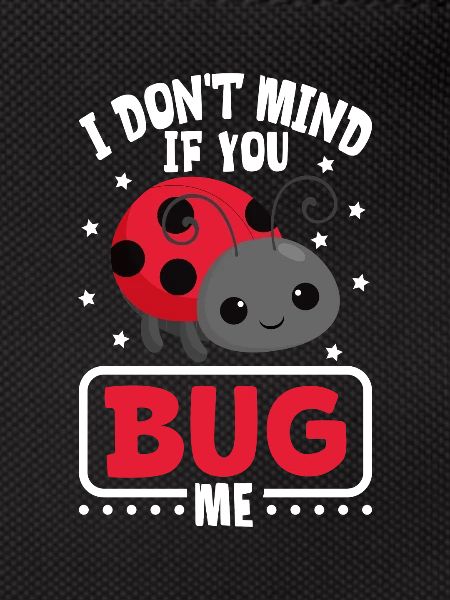 Ladybug Ladybug Entomology Insects