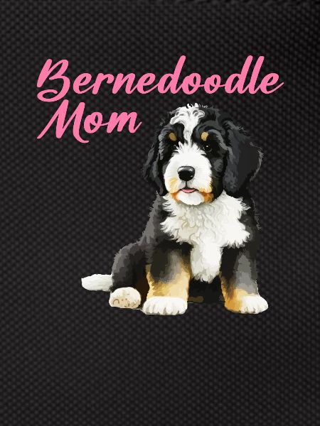 Bernedoodle Maman