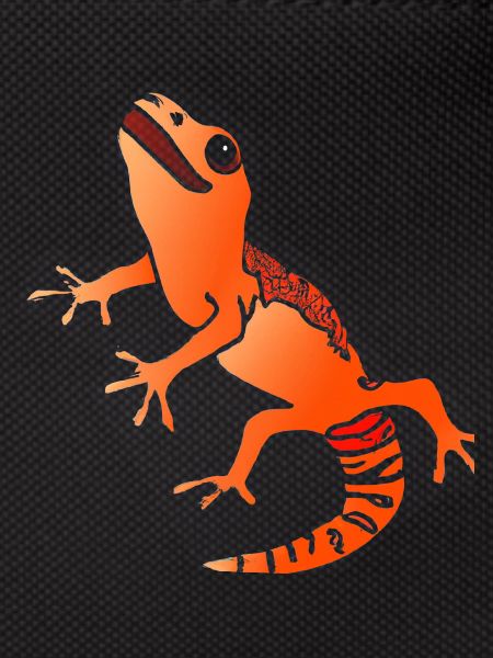 Salamander Gecko Lizard