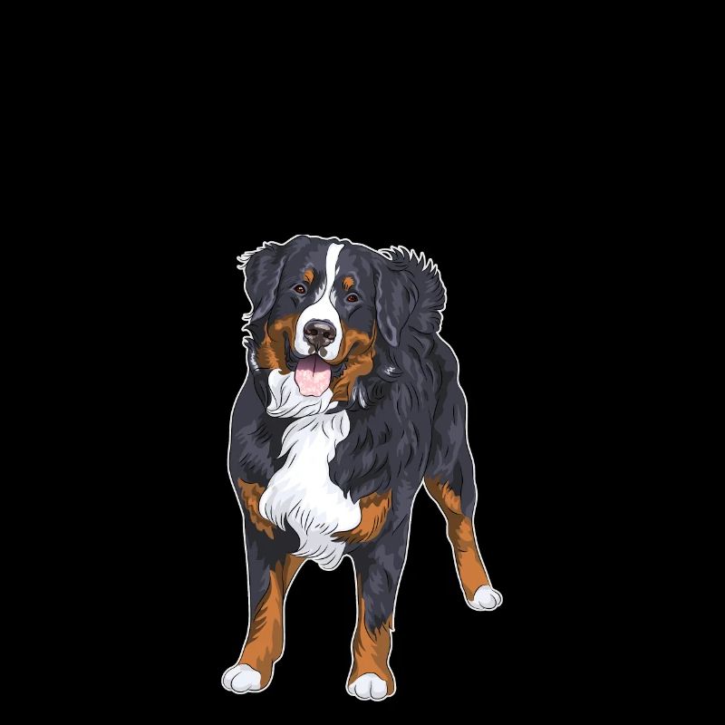 Australian Shepherd Dog