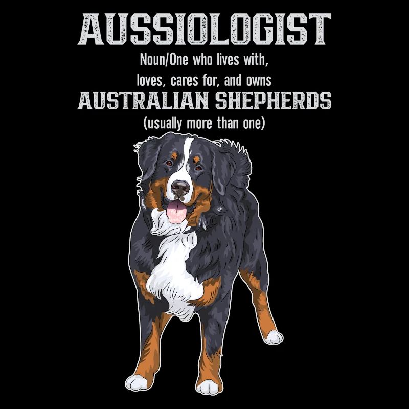 Australischer Schäferhund