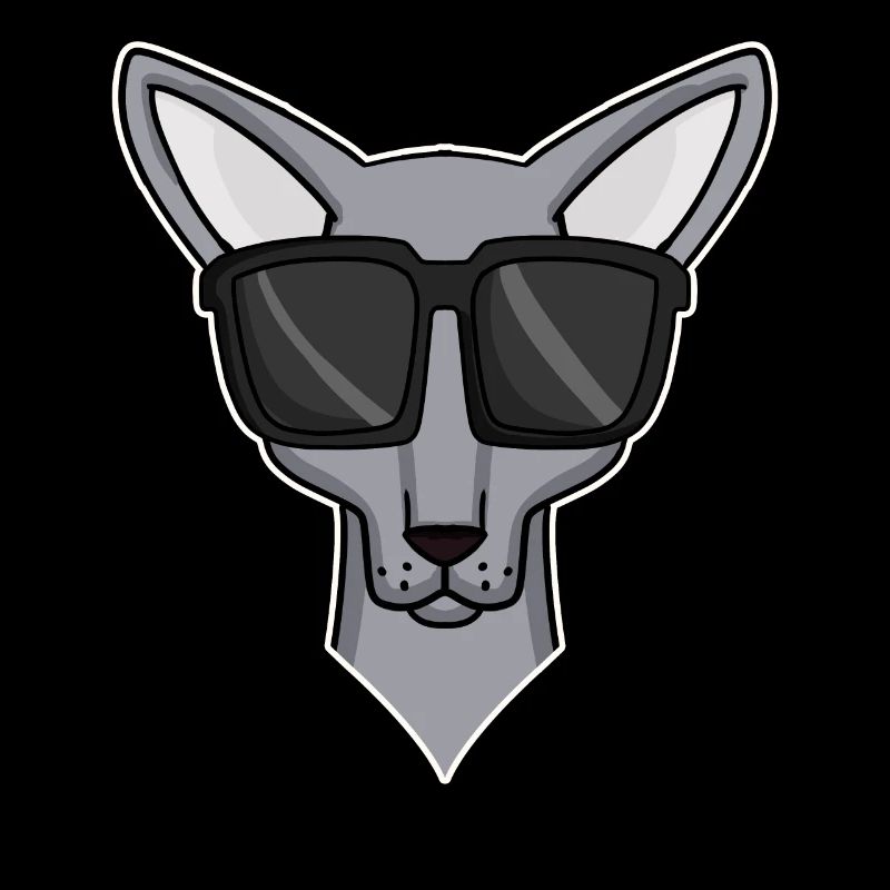 chat cool avec des lunettes de soleil - race de chat Sphynx