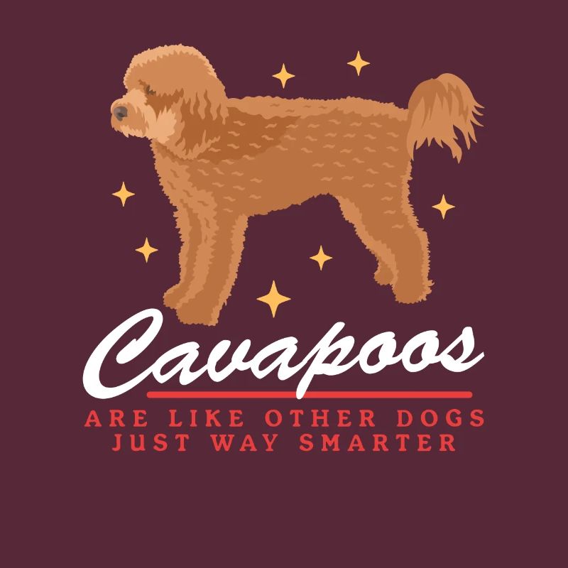 Cavapoo Hunde | Cavoodle Hundebesitzer Geschenk