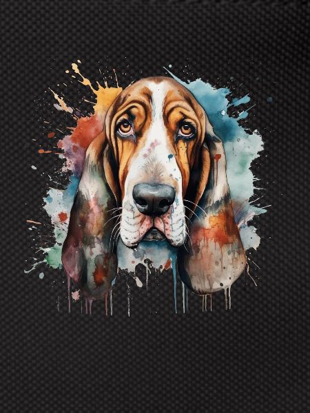 Basset Hound