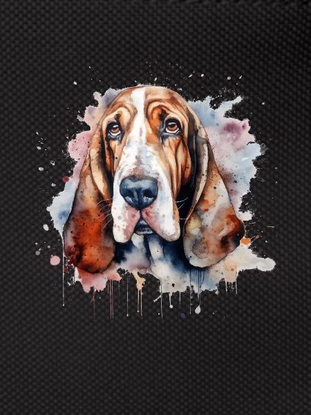 Basset Hound