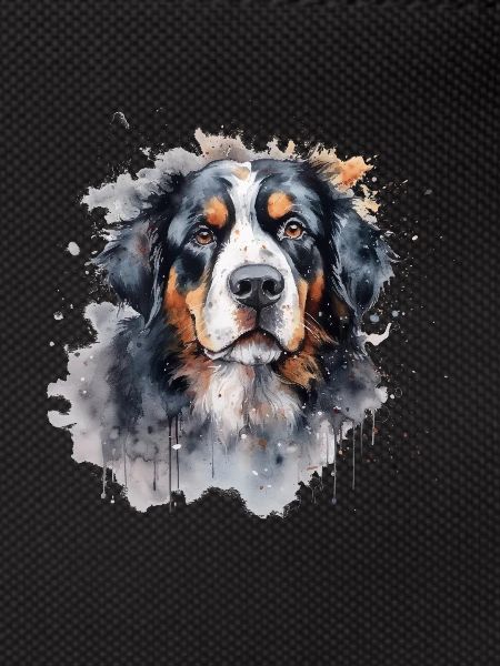 Bernese Mountain Dog