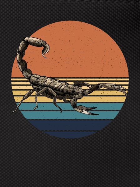 Scorpion