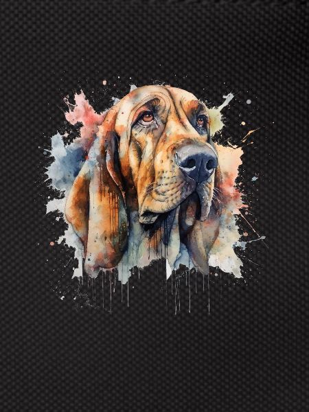 Bloodhound