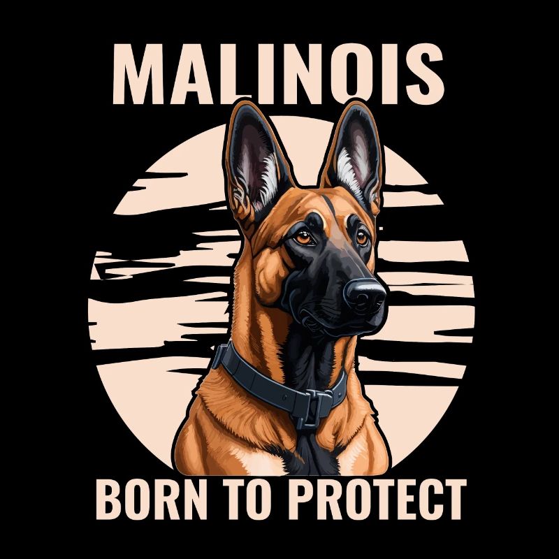 Malinois - Born to protect