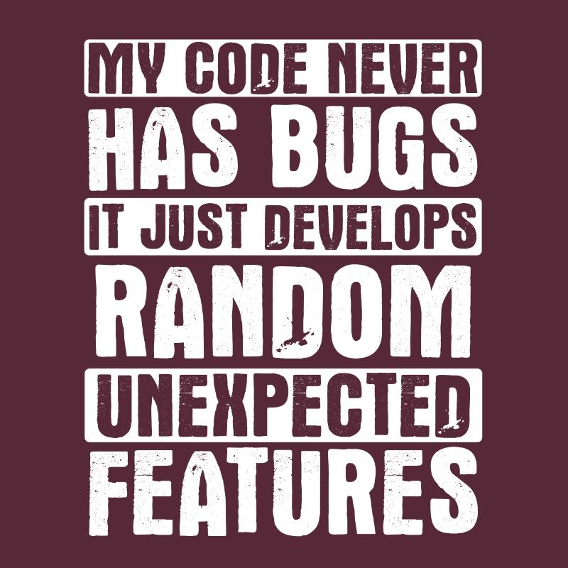 Software Ingenieur Informatiker Programmierer