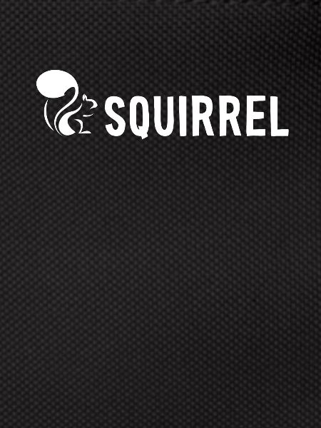 Squirrel Fuchshörnchen Grauhörnchen Squirrel