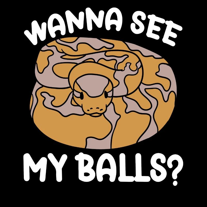 Ball python snake