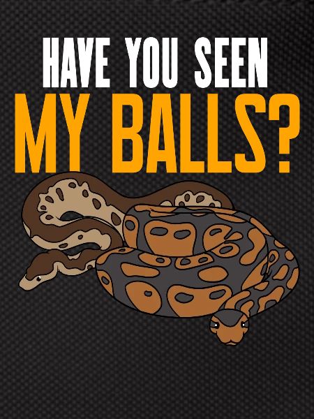 Ball Python Snake