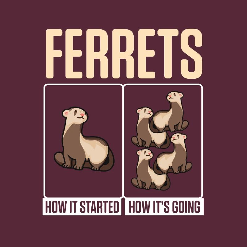 Weasel Cute Ferrets How It Started How It's Going
