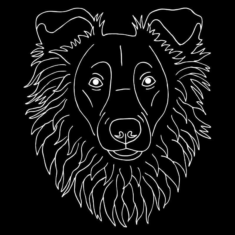 Collie