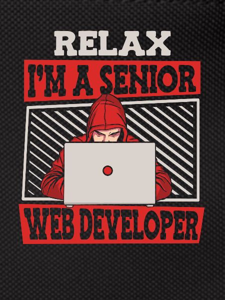 Web Entwickler Webdeveloper Senior