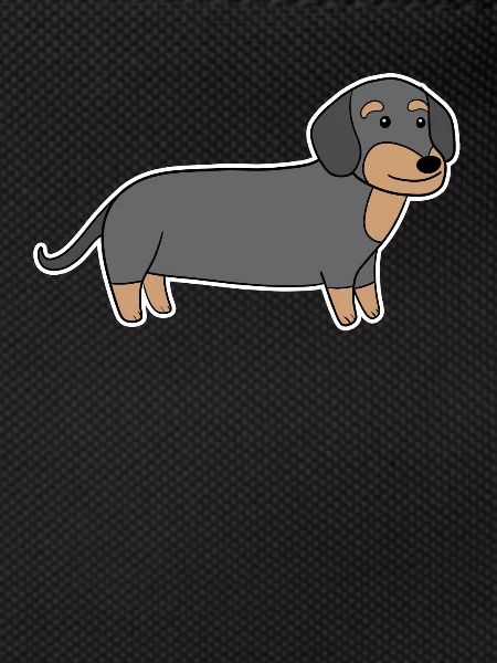 Dackel Dachshund Teckel