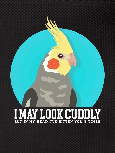 Nymphensittiche | Vogel Vogelbesitzer Geschenk