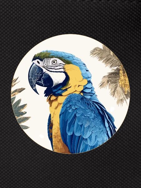 Blue and gold macaw