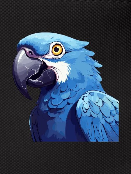 Hyacinth Macaw
