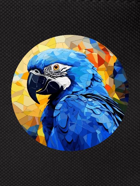Hyacinth Macaw