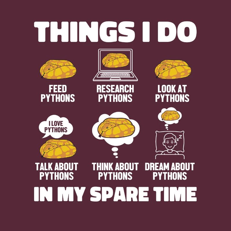 Things I Do In My Spare Time Python Banana Ball
