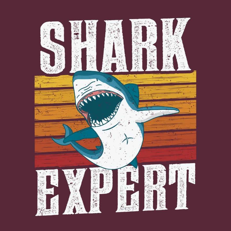 Shark Expert Requins Requins Plongée avec les requins Dent de requin