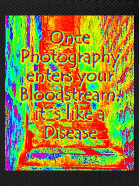 phtotography disease red