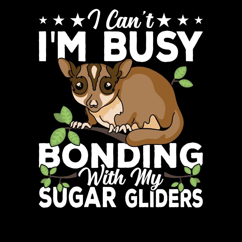 Bindung Mit Sugar Gliders Sugar Glider Besitzer