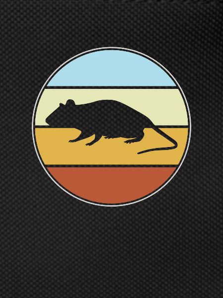 Mouse retro