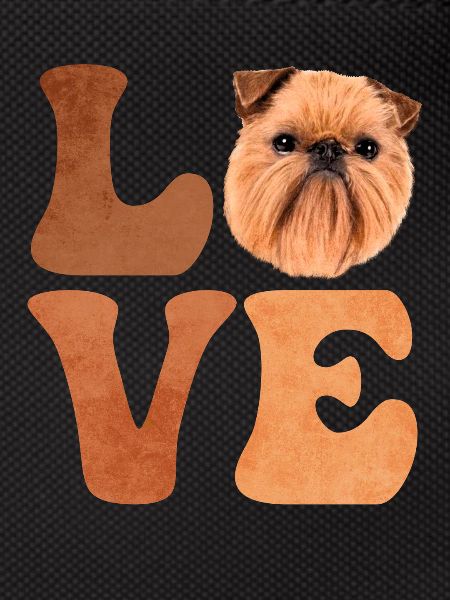Brussels Griffon Dog